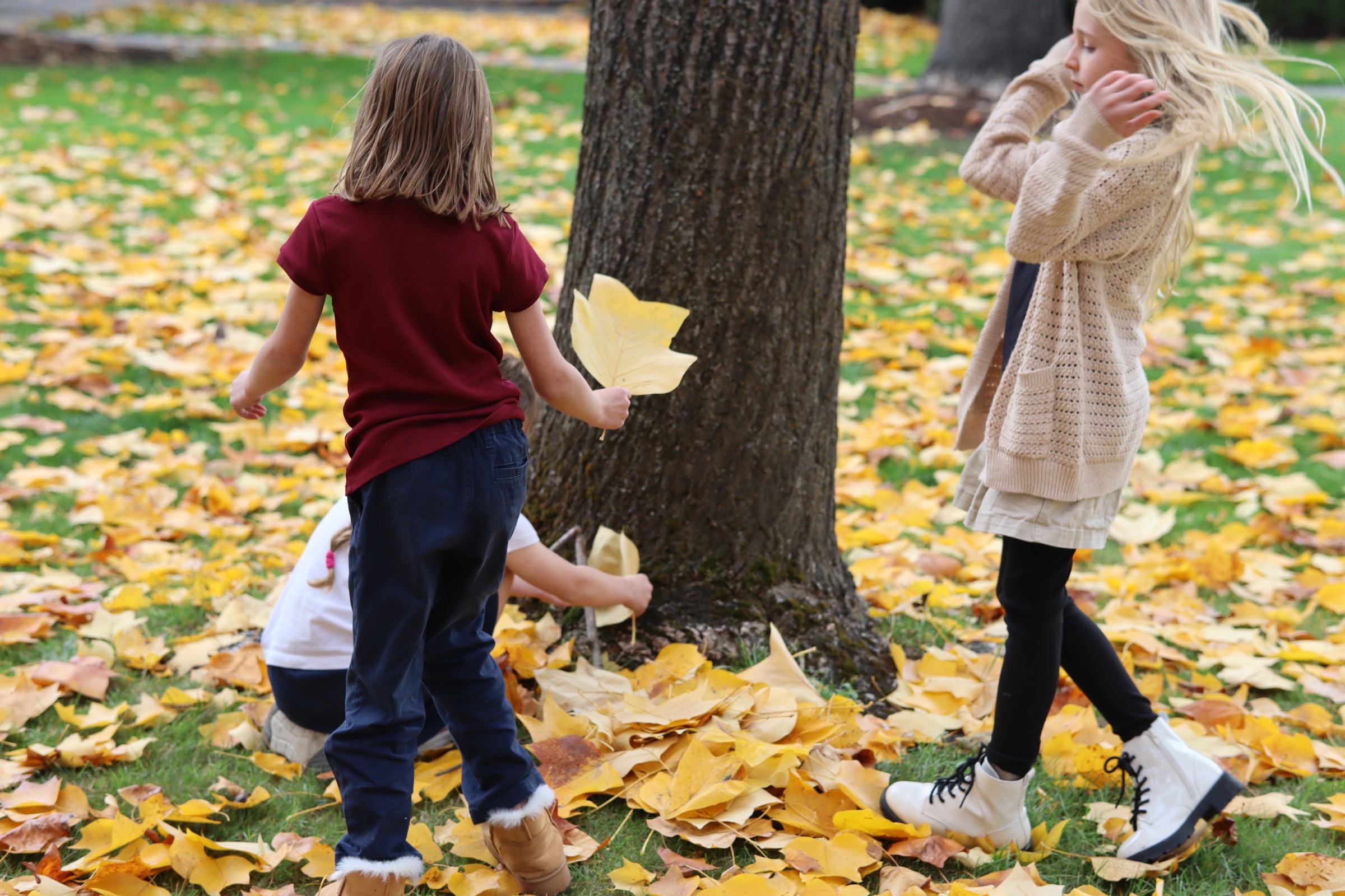 Children enjoying outdoor play at Harvest Christian School